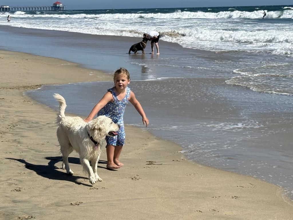 Daisy at Huntington Dog Beach