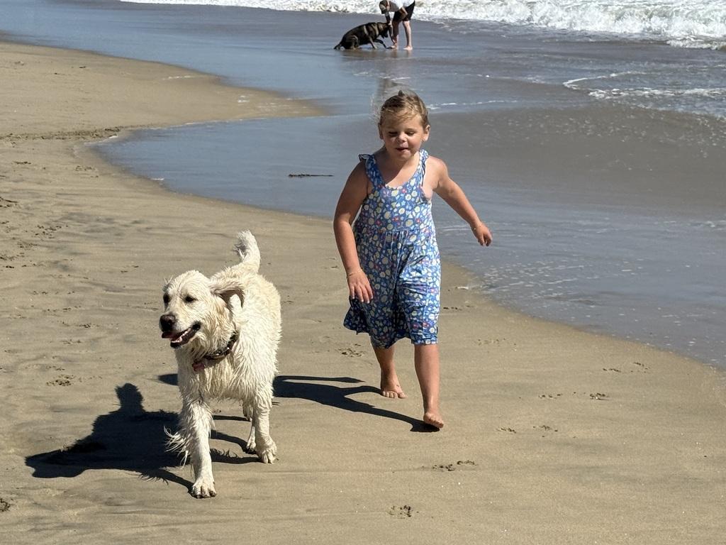 Daisy and Rylee at Huntington Dog Beach